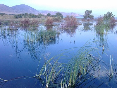 Հակամարտության սոցիալական կառուցումը (1996, 2011)