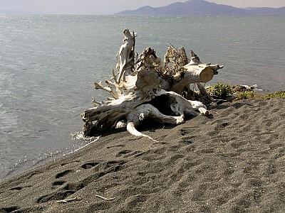 Ինչ է ռացիոնալությունը