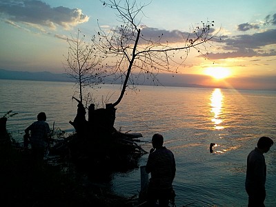 Միդիտրոնը